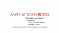Lower extermity block.pptx